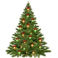 Christmas_Christmas_tree_Balls_White_background_597609_3600x3983.jpg